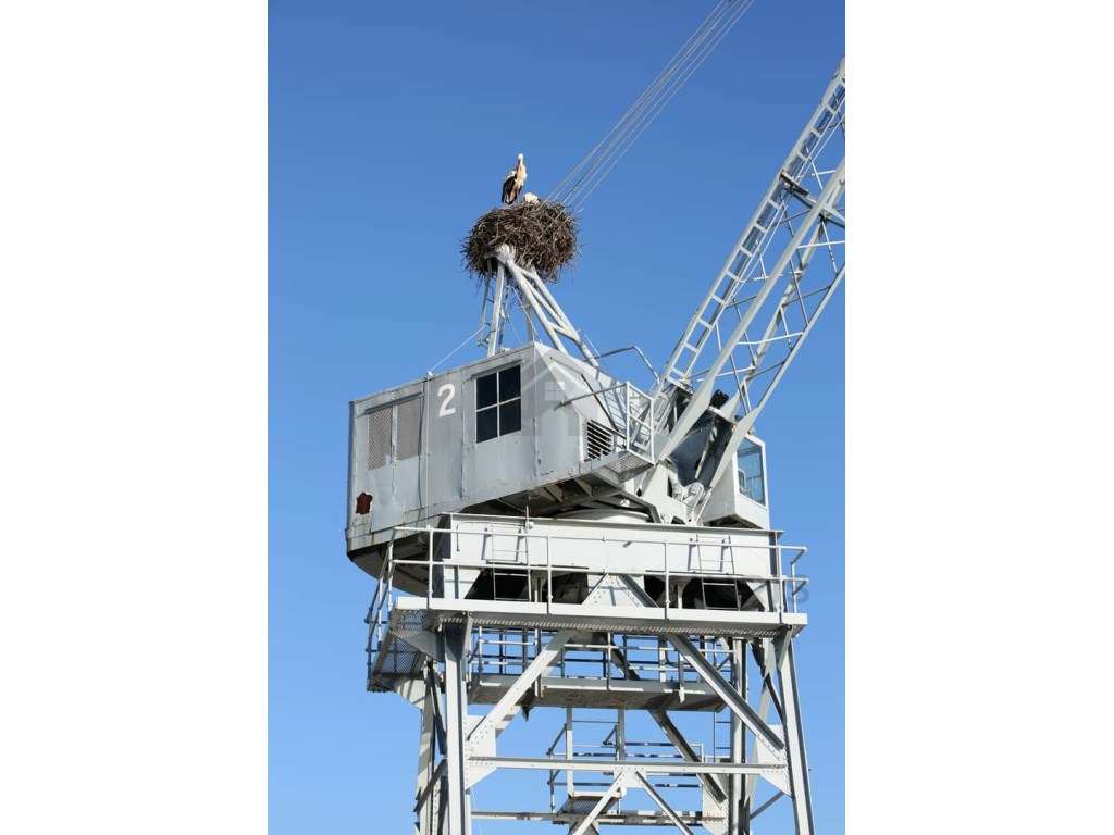 Moradia para Venda no Centro em Portimão-16