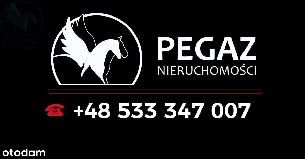 Nowoczesny Dom Wolnostojący na dużej działce !-14