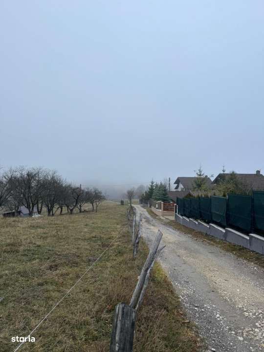 Teren Poiana Marului -Zarnesti -Brasov-6