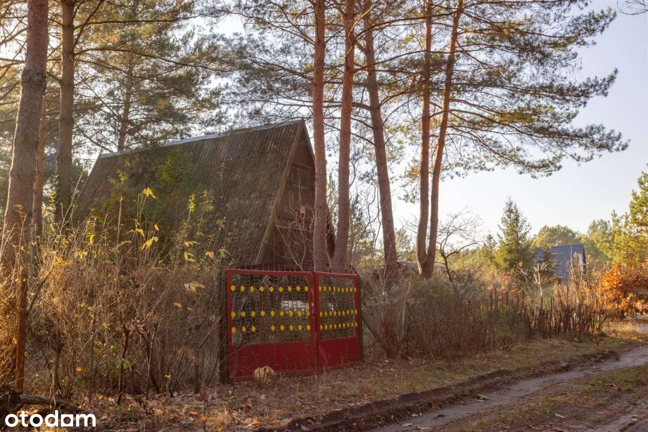 Dom drewniany letniskowy przy lesie Działka 955m-3