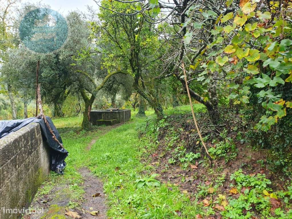 Quinta à venda, localizada no Lugar de Água Redonda, Cabeceiras de ...-38
