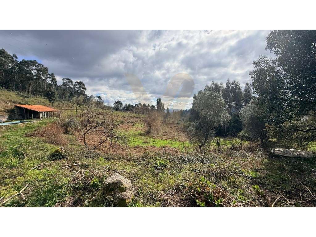 Quintinha T3 | Anais - Ponte de Lima-8