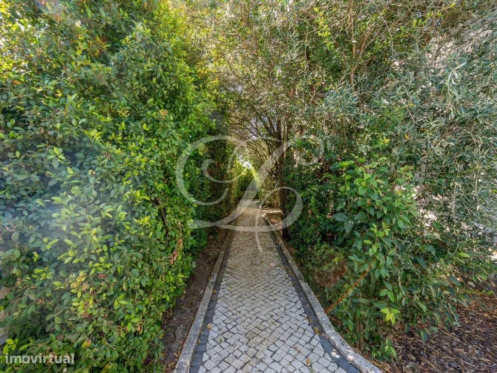 Moradia T6 | Cascais-35