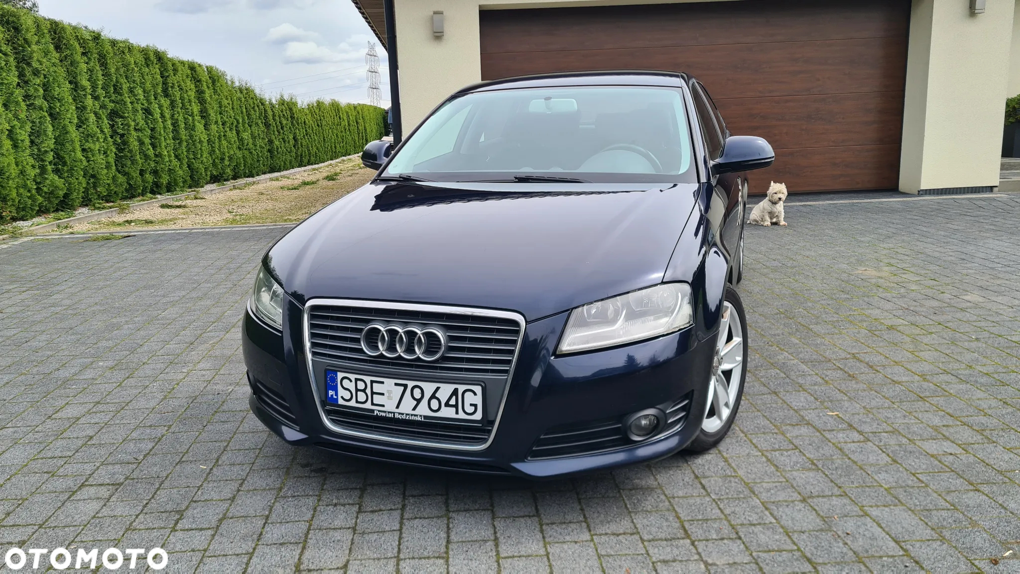 Audi A3 2.0 TDI Sportback DPF Ambiente - 2