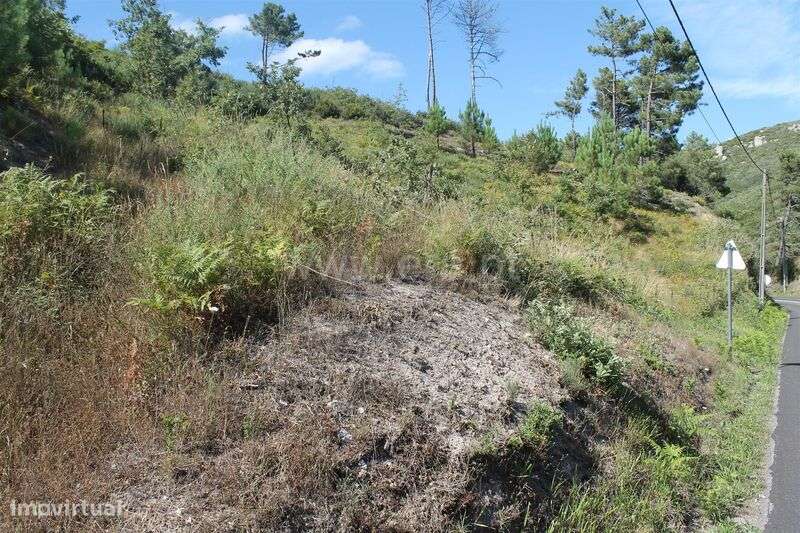 Terreno / Baião, Gove - Grande imagem: 4/6