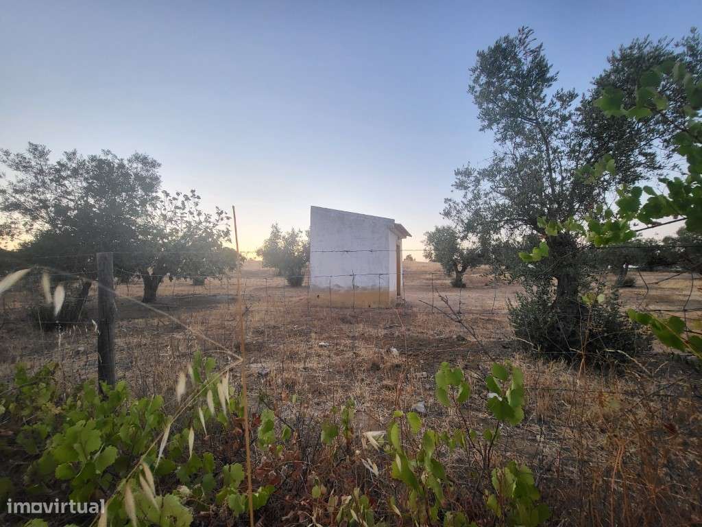 Quintinha com 26.000 m2 - Grande imagem: 2/18