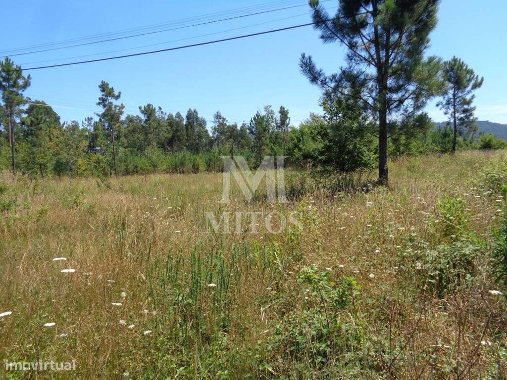 Terreno p/ construção - Deão - Grande imagem: 4/11