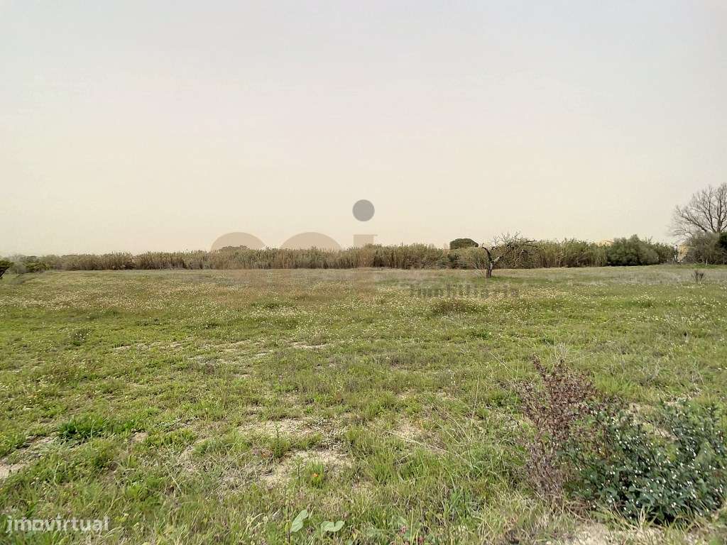 Terreno Urbano Quinta do Anjo, PIP análise para 16 moradias. - Grande imagem: 4/22