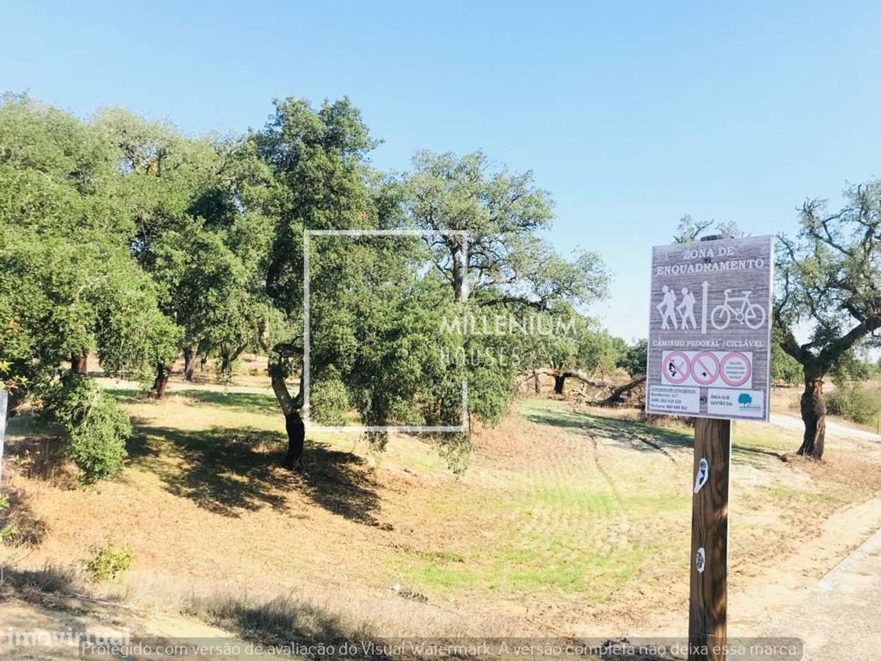 Terreno | Projeto Aprovado | Vila Nova de Santo Estevão-19