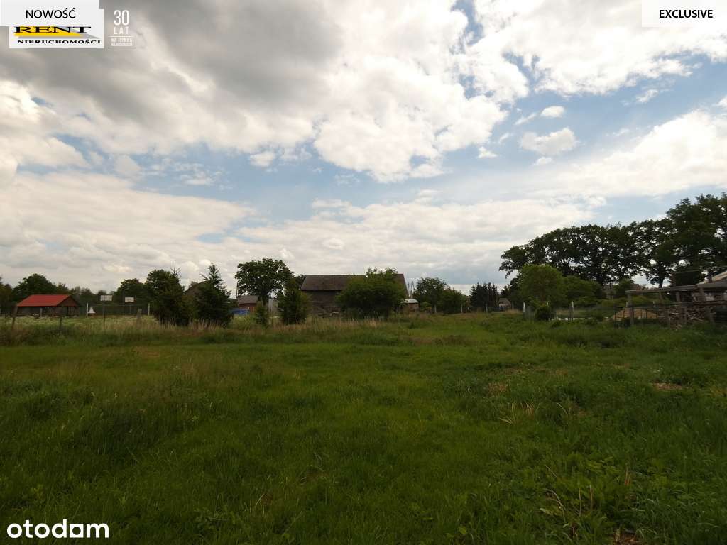 Działka Stepnica -. 8600m z warunkami zabudowy - Pełny obrazek: 5/8