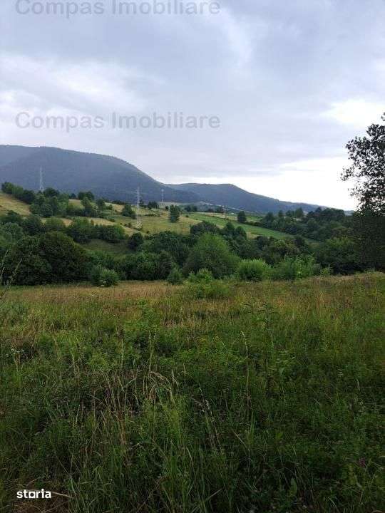 Teren Excepțional în Viisoara – Priveliște Panoramică - Imagine principală: 2/5