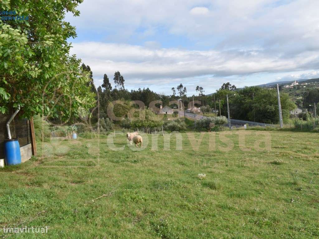 Terreno para construção/Atouguia - Grande imagem: 3/7