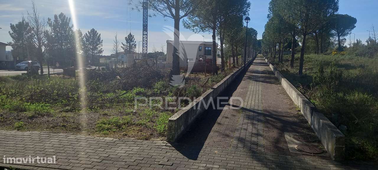 Lote de Moradia - Grande imagem: 3/6