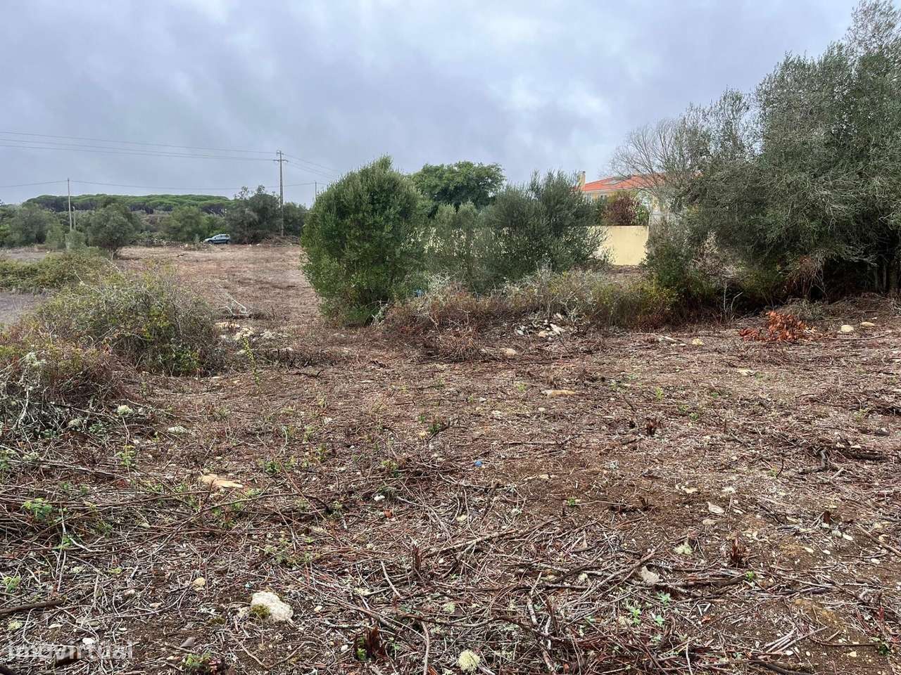 Terreno Misto com 3360 m2   em Godigana - Terrugem - Grande imagem: 4/9