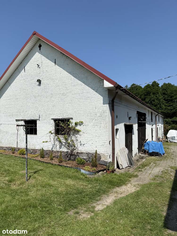 Dom Gospodarstwo Siedlisko gm Świdwin NOWA CENA - Pełny obrazek: 4/12