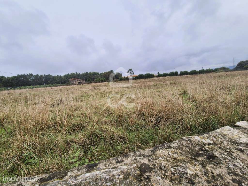 Terreno Agrícola na Lama - Grande imagem: 2/9