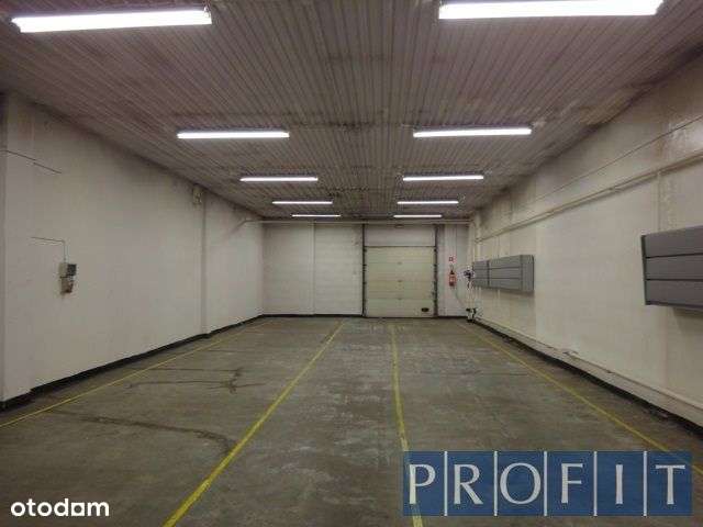 działka o pow. 4000m2 hala 830m2 - Pełny obrazek: 5/7