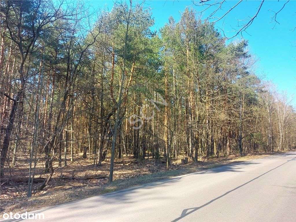 Leśna z prawem zabudowy w Radości! - Pełny obrazek: 3/7