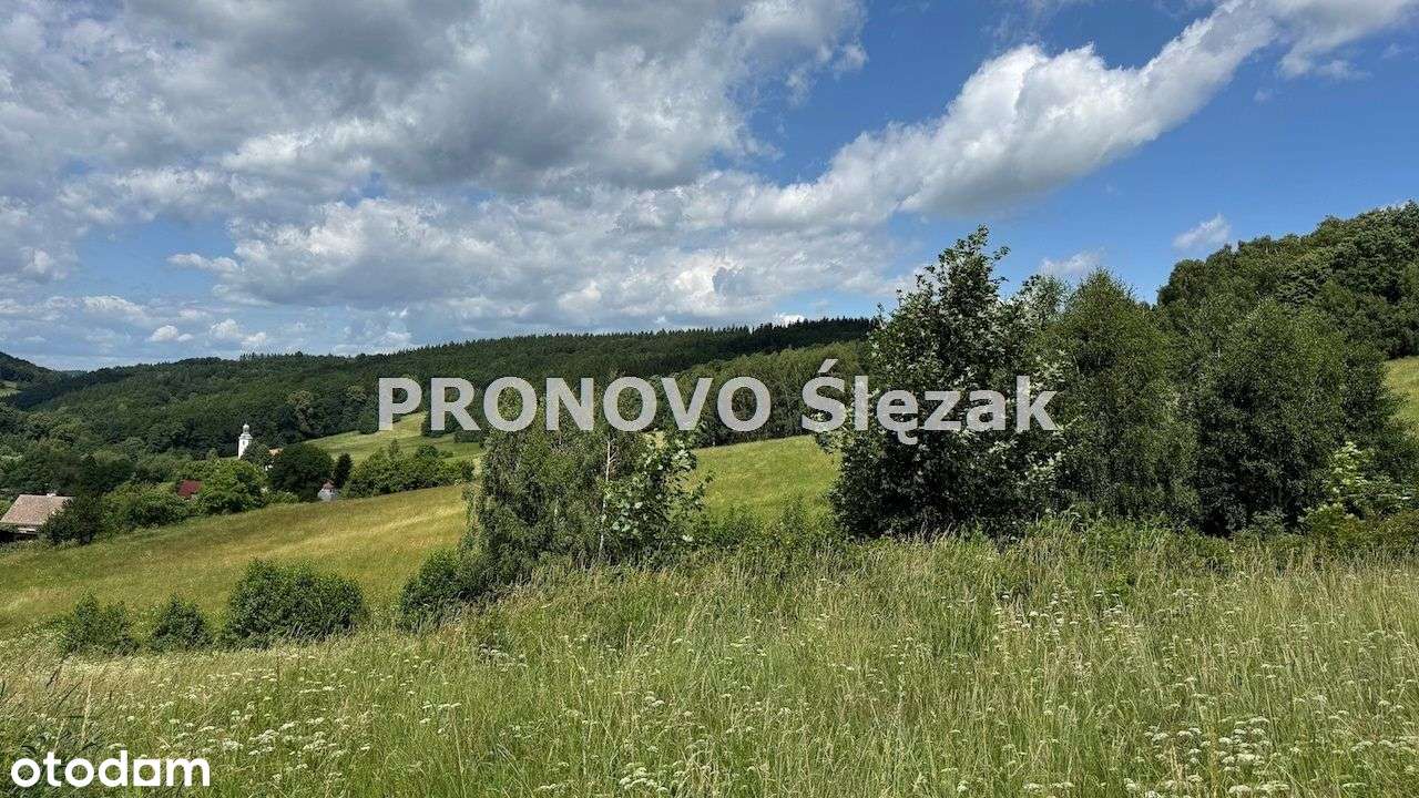 Sprzedam działkę 30 arów Michałkowa-1