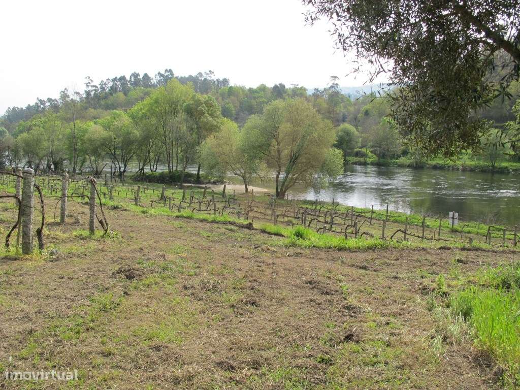 Terreno - Távora; Arcos de Valdevez - Grande imagem: 5/8