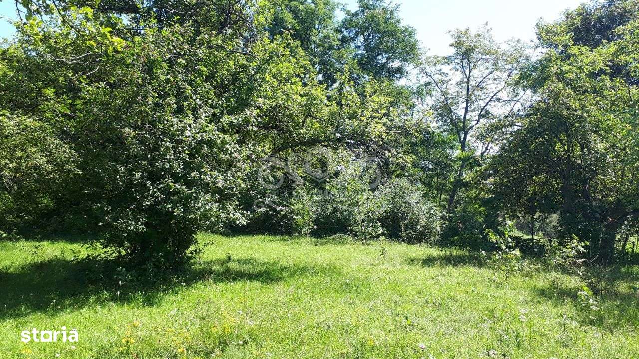 Teren cu livada de vanzare in Albesti de Muscel - Imagine principală: 1/19