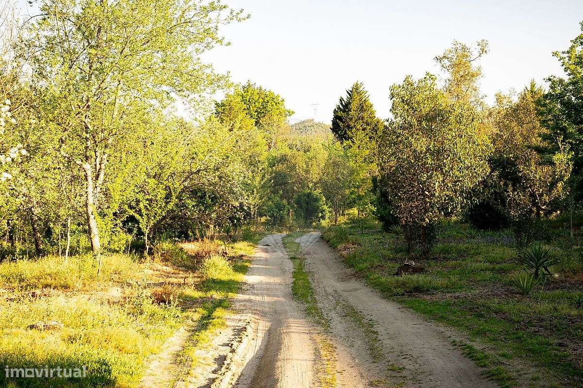 TERRENO COM 28.000M2  PARA CONSTRUÇÃO INDUSTRIAL EM RONFE-5