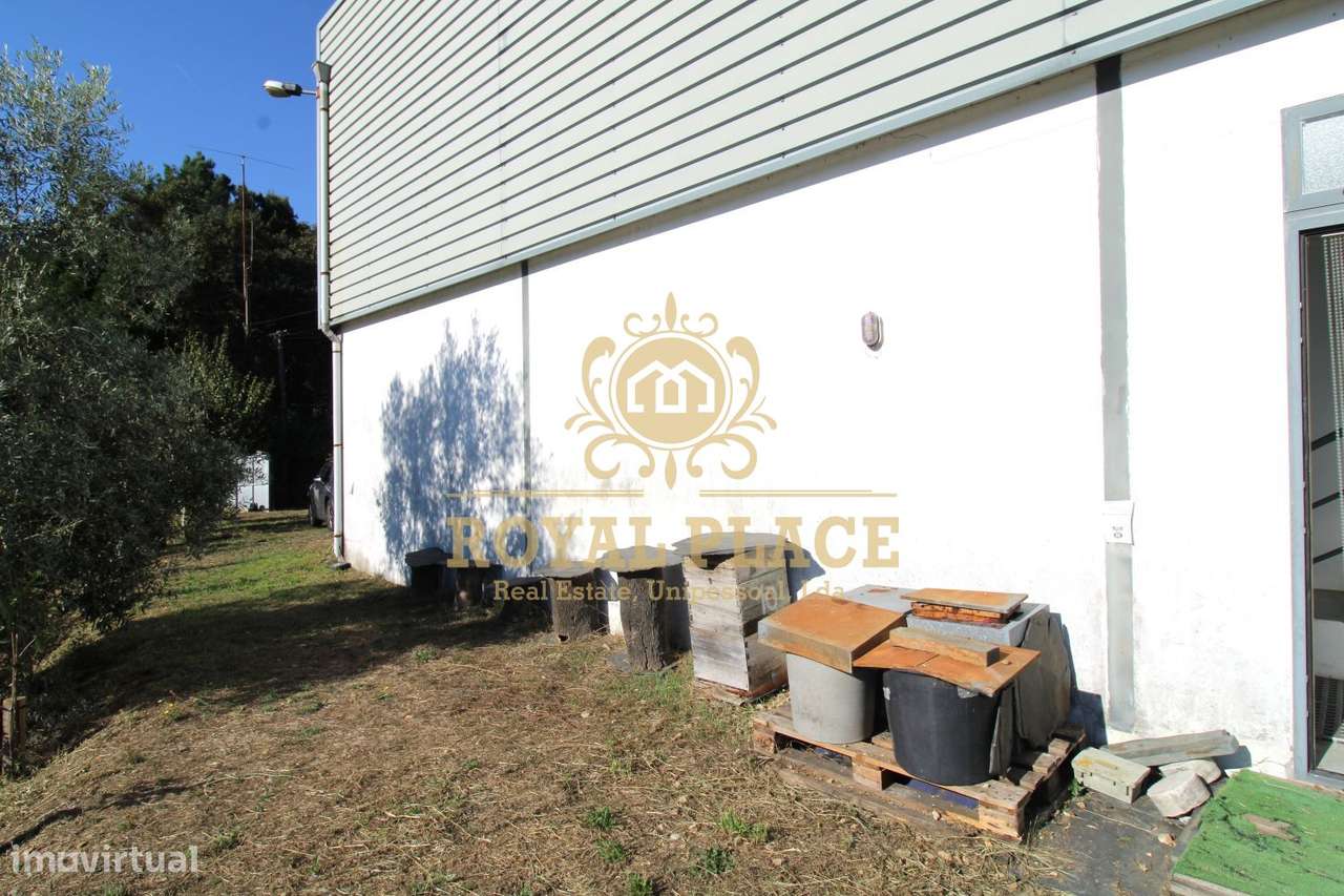 Quinta com armazém em Ossela, Oliveira de Azeméis-43