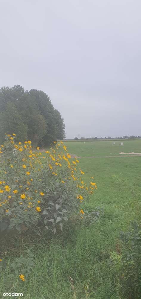 Działka, 1 000 m², Ługi Ujskie - Pełny obrazek: 4/8