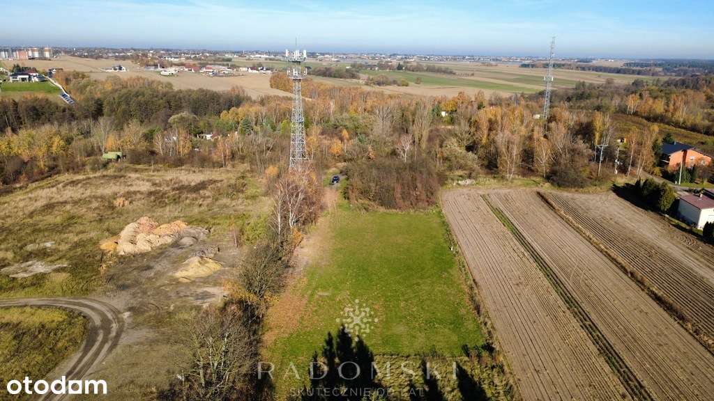 5000m2 | Winiary | Dobry dojazd | Cisza - Pełny obrazek: 4/7