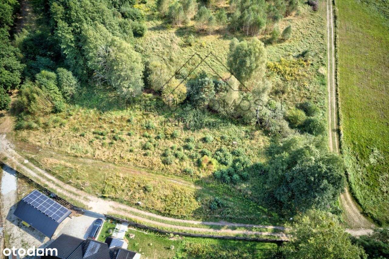 Działka budowlana przy jeziorze Długie w Trzciance-18