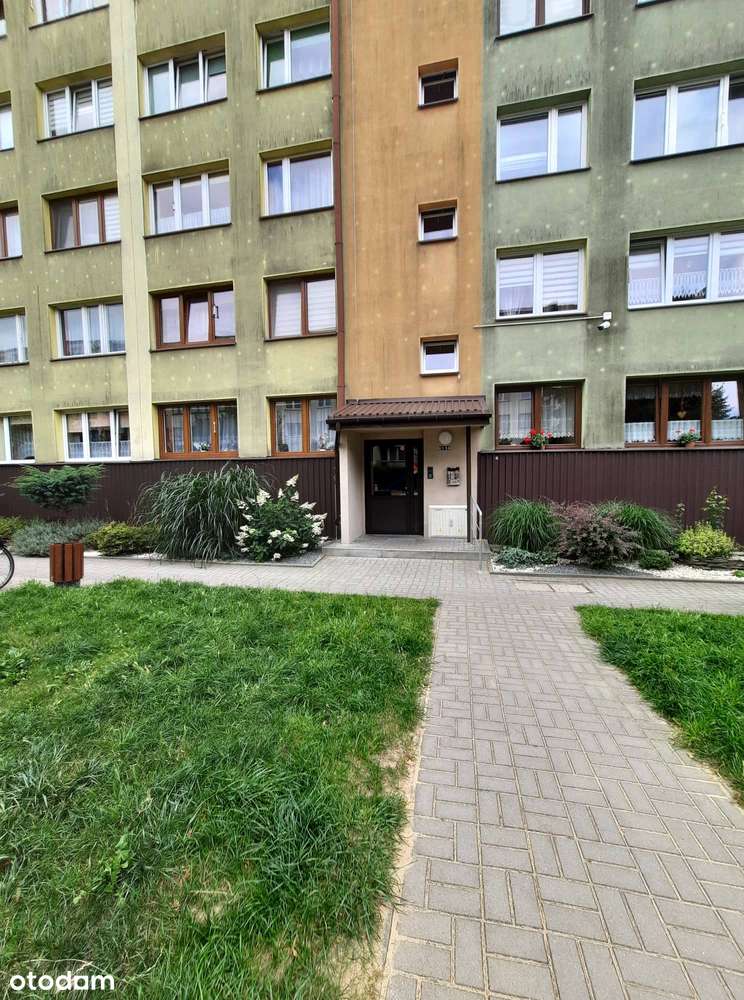 3-POKOJOWE MIESZKANIE W CENTRUM (48,17 m²) – OS. WOLNOŚĆ, PIĘTRO 4 - Pełny obrazek: 5/13