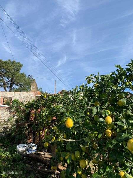 Terreno urbano com casa em ruínas - Grande imagem: 5/12