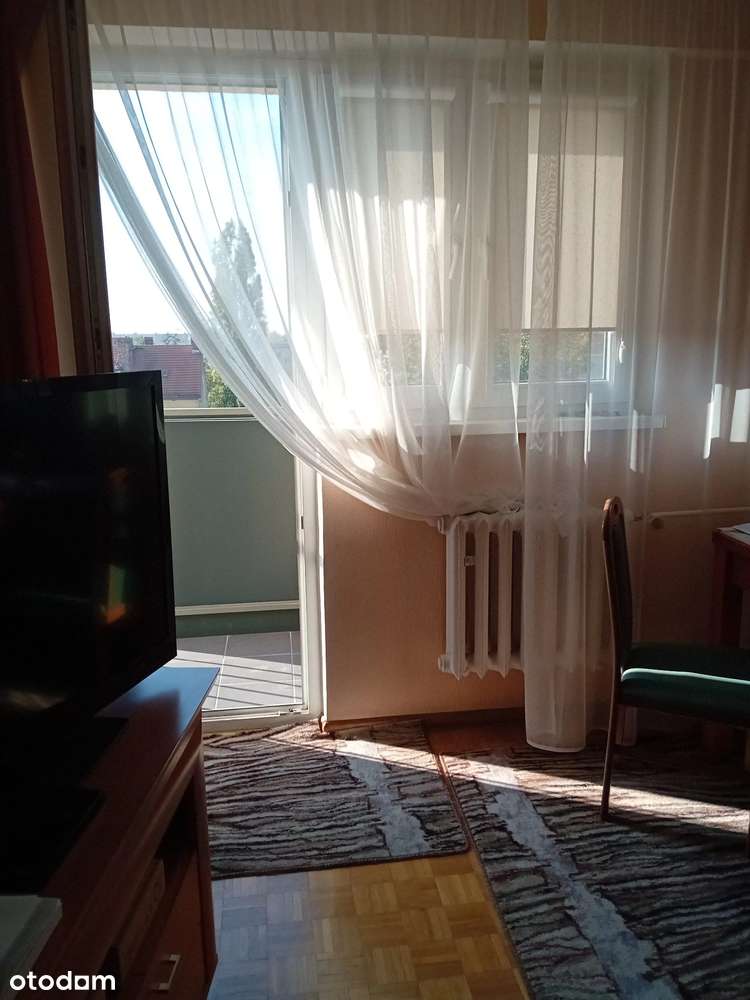 Ustronne miejsce w centrum miasta-7