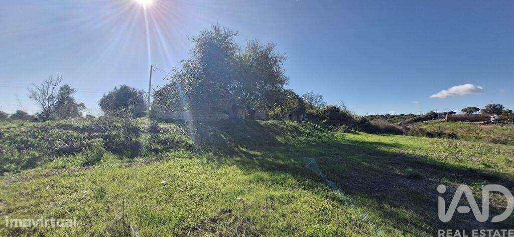 Casa de Campo em Abitureiras de 112 m2 - Grande imagem: 4/40