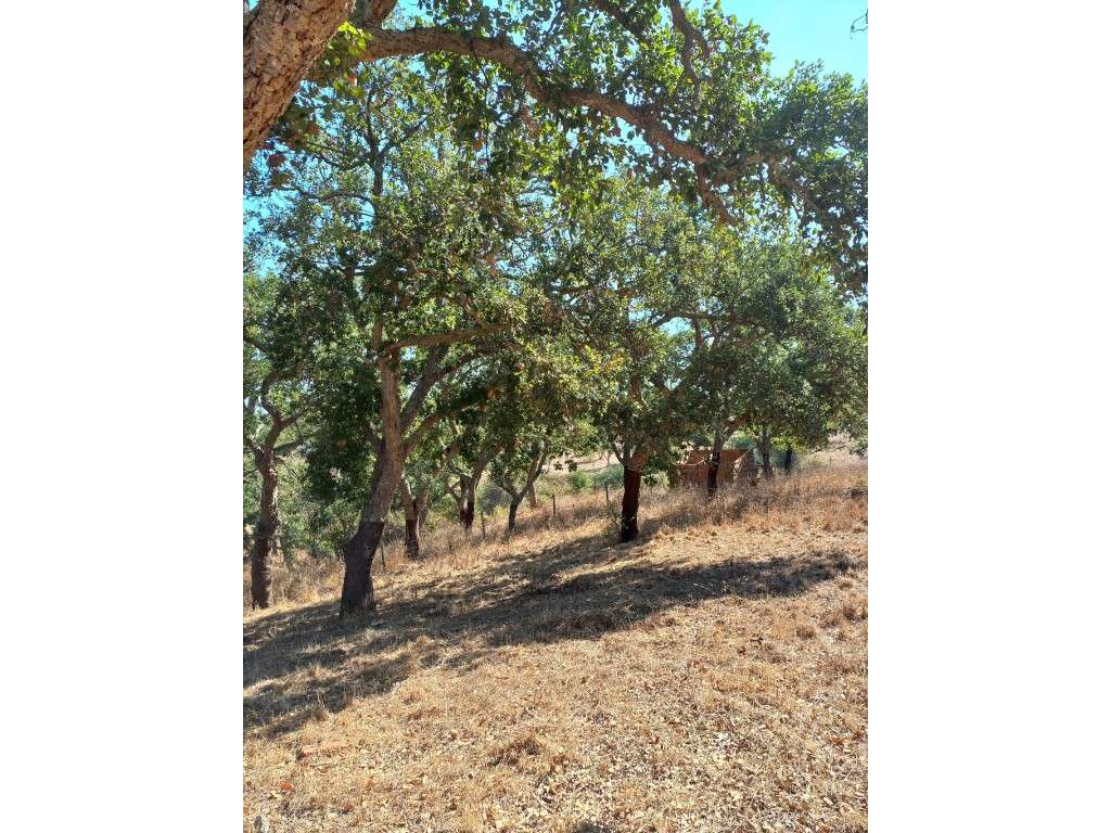 Terreno em são Francisco da Serra-4