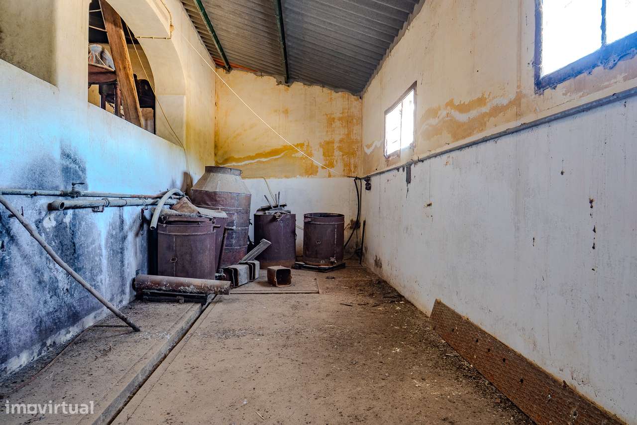 QUINTA 15 HA | VENDA | ÉVORA – ALENTEJO-18