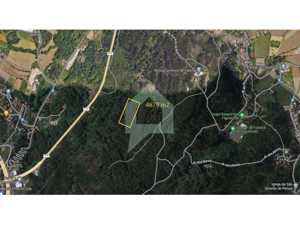 Bouça em Figueiredo-Braga - Grande imagem: 5/5