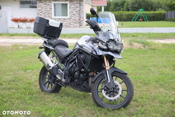 Triumph Tiger - 3