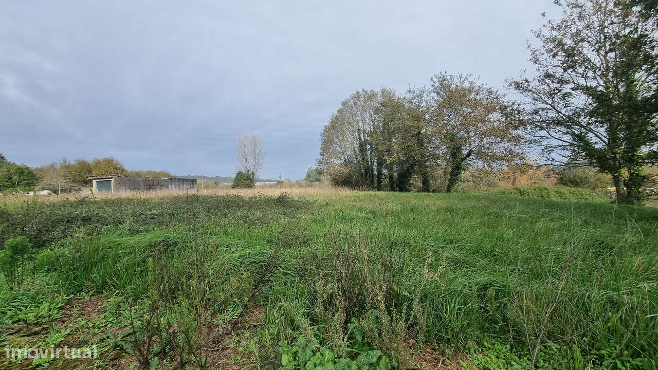 Terreno Rústico em Argoncilhe, Santa Maria da Feira - Grande imagem: 3/13