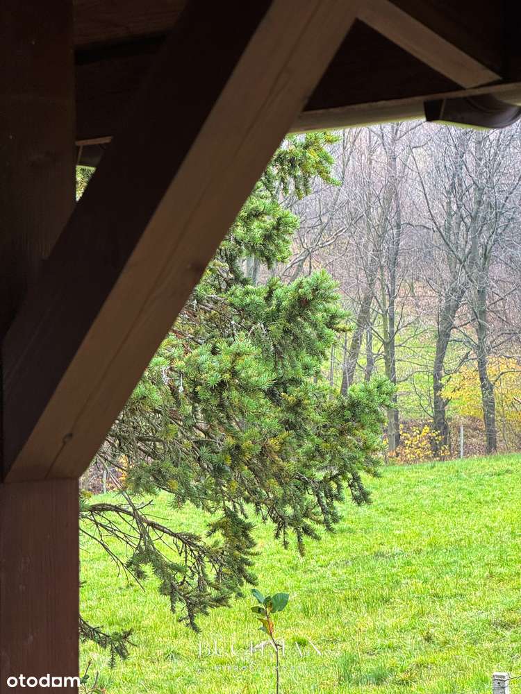87 ar + Domek pod lasem z możliwością rozbudowy  - BEZ Prowizji-9
