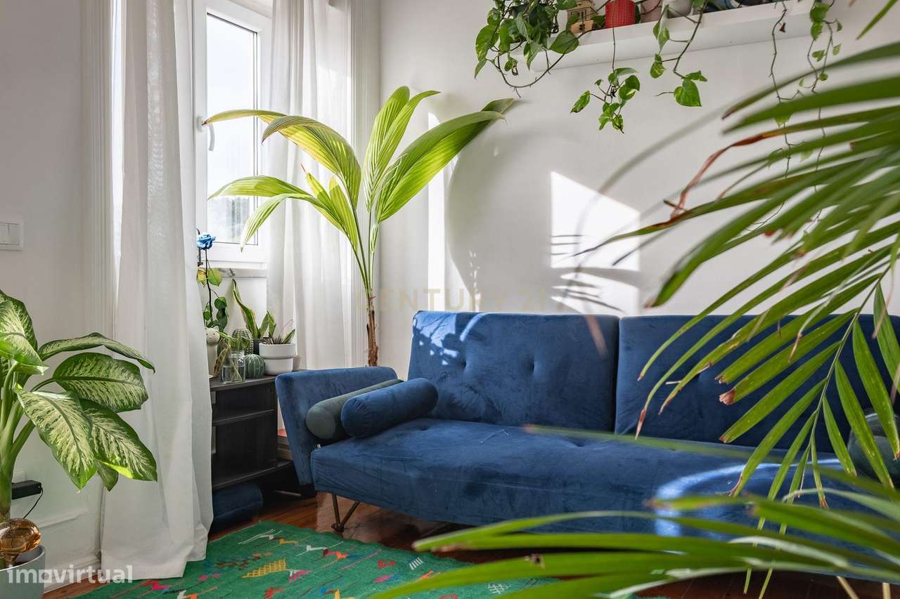 T1+1 na Rua Maria Pia com vista rio e luz fantástica - Grande imagem: 5/25