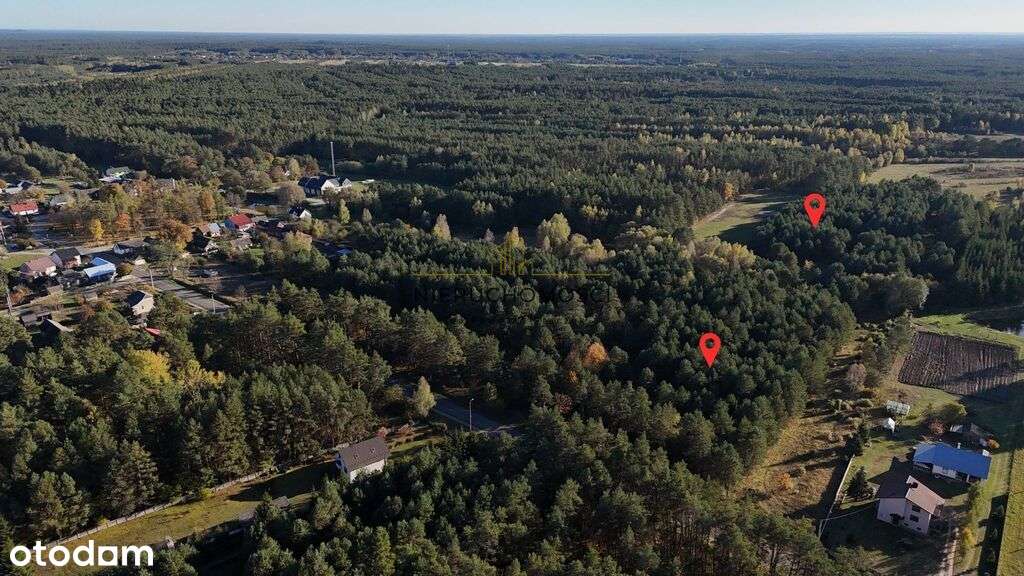 Działki w spokojnej okolicy–Dyle - 1,88 ha - Pełny obrazek: 4/11