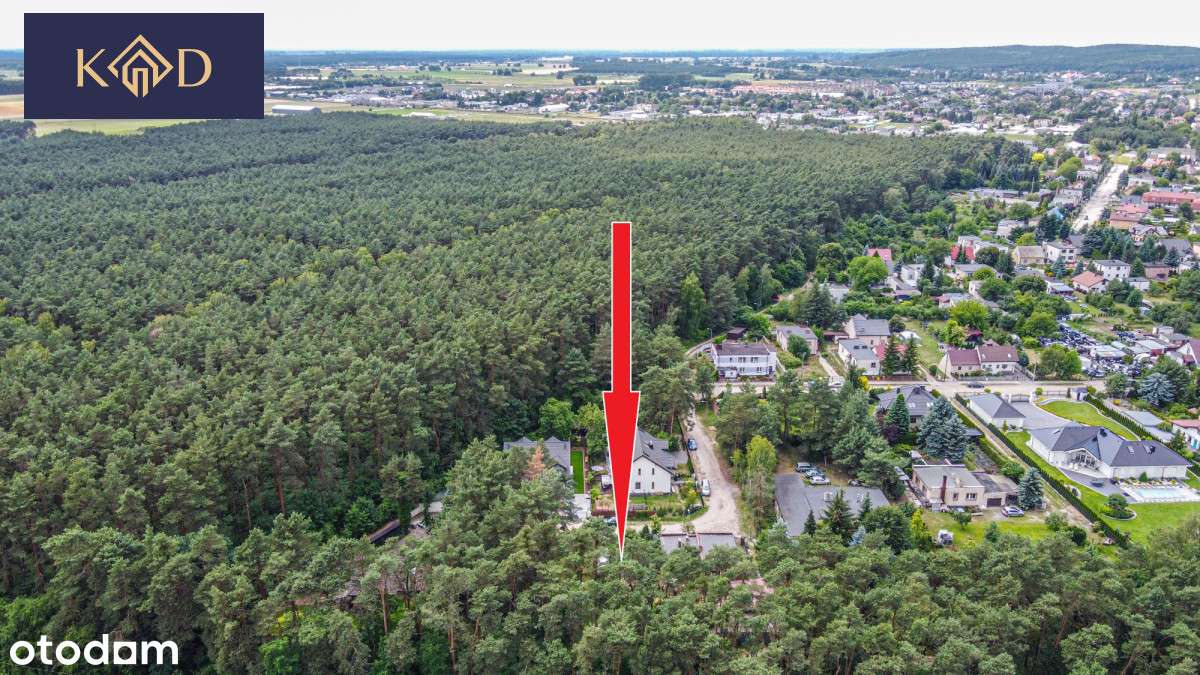 Działka Przy Ścianie Lasu - Pełny obrazek: 4/15