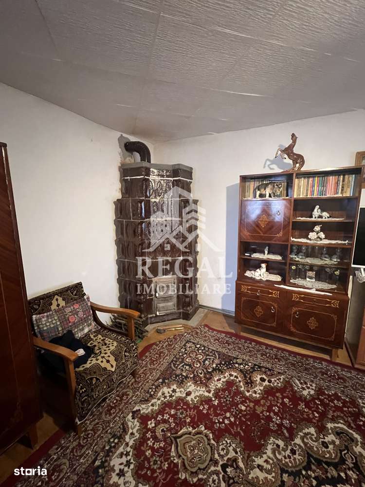 Două case individuale de vânzare în Teliuc –ideale pentru două familii-10