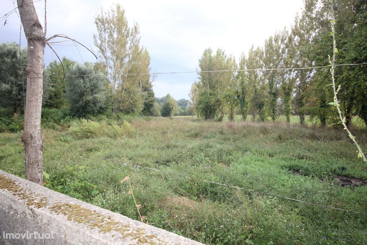 Terreno Agrícola em Carreiras Santiago - Vila Verde!