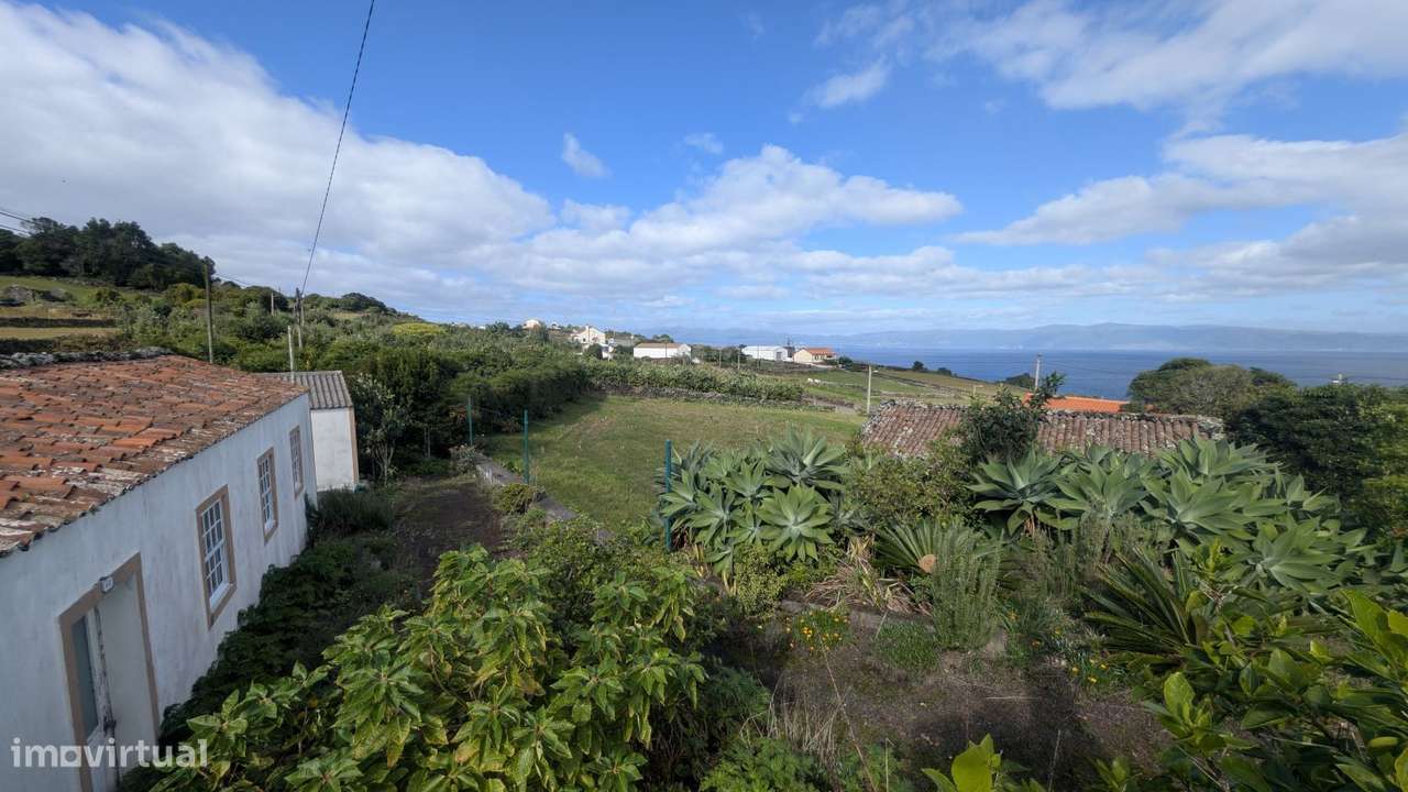 Excelente Oportunidade - 3 Casas e grande Terreno- Ponta da Ilha - Grande imagem: 4/34