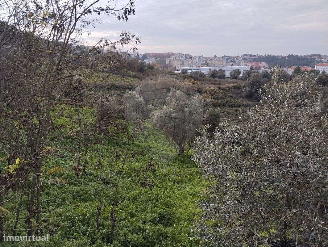 Terreno  para venda - Grande imagem: 5/5