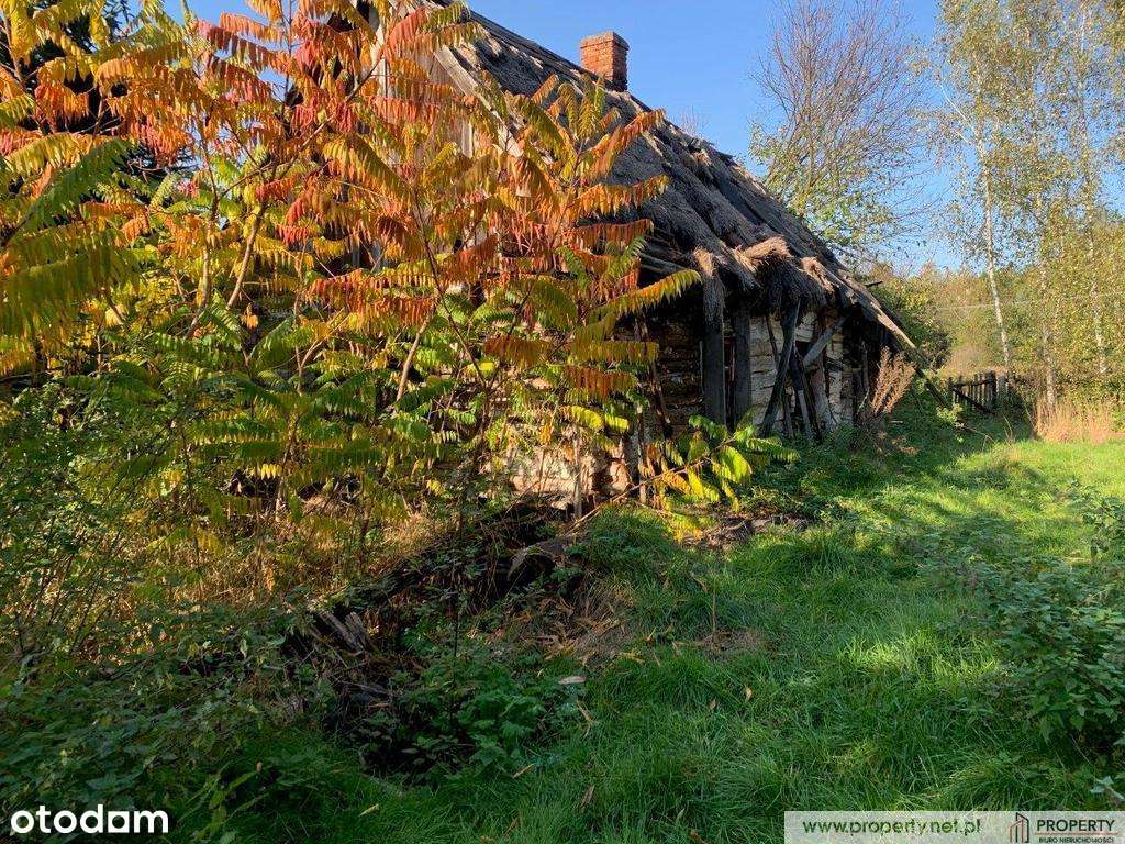 Działka 0,34 ha z domem, Nagoszyn, gm. Żyraków - Pełny obrazek: 4/14