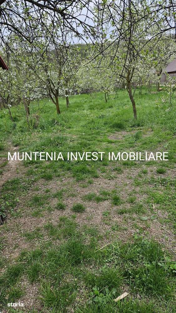 Teren 2658 mp. intravilan, Com. Bogați, sat Glambocelu - Imagine principală: 2/12