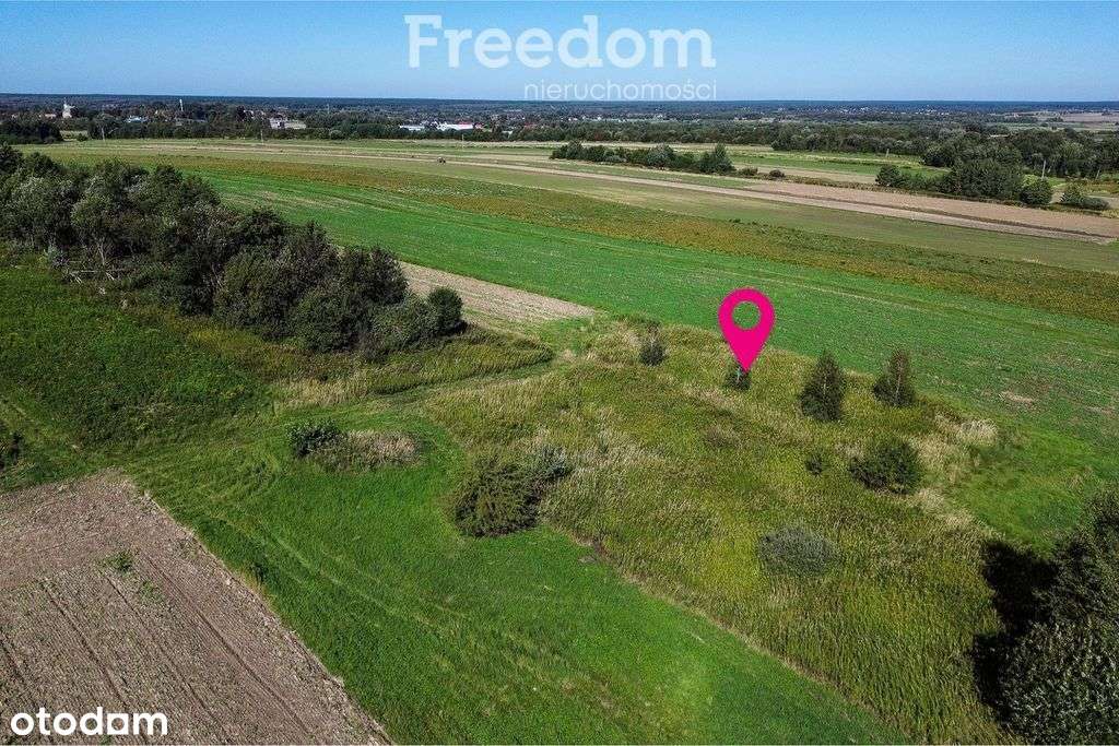 Działka rolna 15 ar – Trzciana, gmina Świlcza - Pełny obrazek: 1/9